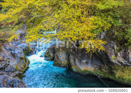 秋葉染紅的山谷 秋葉染紅的山谷 108920801