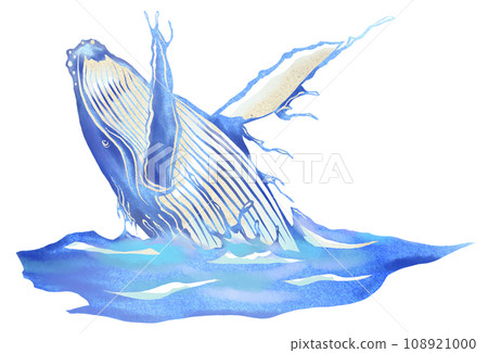 鯨魚漂白的水彩風格插圖 108921000