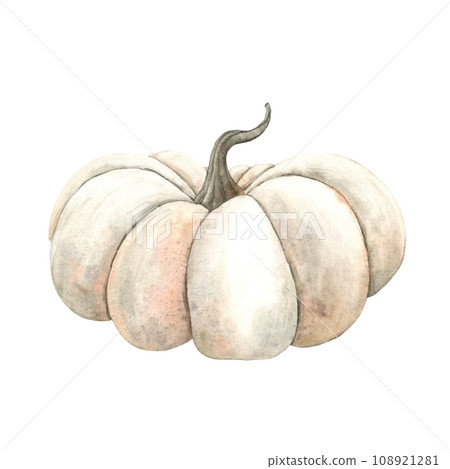 Watercolor pumpkin, isolate. Hand-drawn botanical illustrations on an isolated background, It can be used in printing design, for postcards, wallpaper, fabrics, menu. Watercolor pumpkin, isolate. Hand-drawn botanical illustrations on an isolated background, It can be used in printing design, for postcards, wallpaper, fabrics, menu. 108921281
