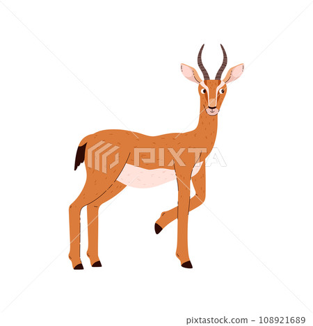 Antelope agile herbivores desert animal, flat vector illustration isolated. Antelope agile herbivores desert animal, flat vector illustration isolated. 108921689