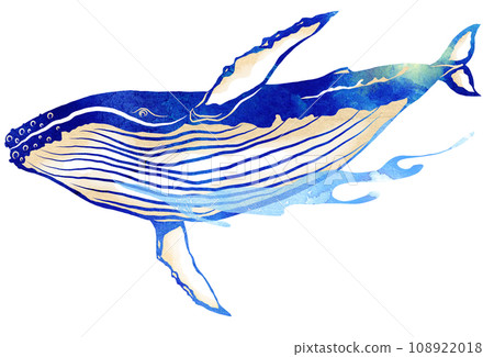 Whale illustration in the ocean Whale illustration in the ocean 108922018