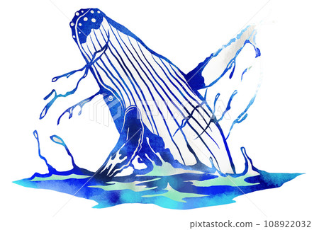 白化鯨魚的插圖 白化鯨魚的插圖 108922032