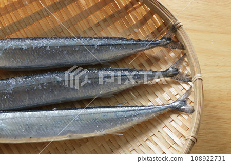 Pacific saury on a colander Pacific saury on a colander 108922731