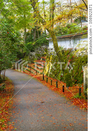 紅葉美麗的來禦院參道 紅葉美麗的來禦院參道 108922871