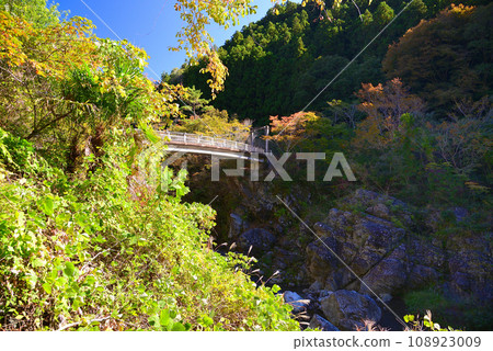 三橋峽，位於群馬縣和埼玉縣交界處 108923009
