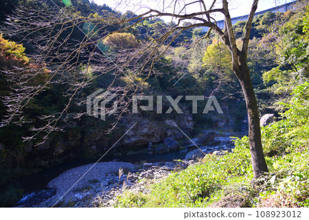 Sanbasishikyo Gorge, located on the border between Gunma and Saitama prefectures Sanbasishikyo Gorge, located on the border between Gunma and Saitama prefectures 108923012