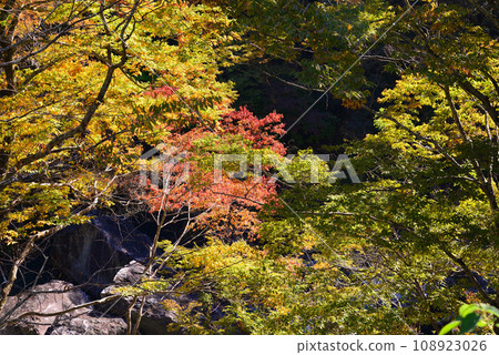 三橋峽,位於群馬縣和埼玉縣交界處 三橋峽,位於群馬縣和埼玉縣交界處 108923026