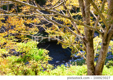 三橋峽,位於群馬縣和埼玉縣交界處 三橋峽,位於群馬縣和埼玉縣交界處 108923027