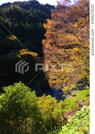 三橋峽,位於群馬縣和埼玉縣交界處 三橋峽,位於群馬縣和埼玉縣交界處 108923029