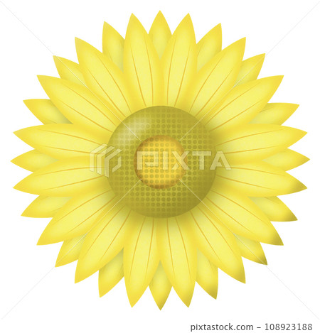 yellow sunflower with the sunflower 108923188