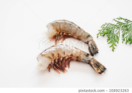 Headless shrimp black tiger 108923263