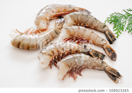 Black tiger headless 108923265