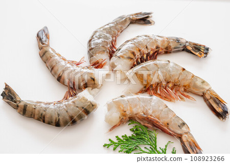 Black tiger headless Black tiger headless 108923266