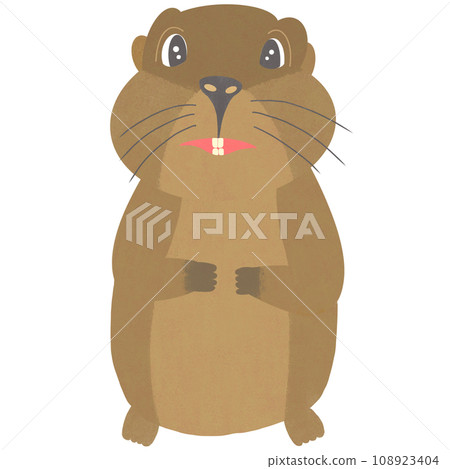 cartoon Groundhog 108923404