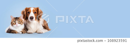 A dog and a cat lie together on the background. 108923591