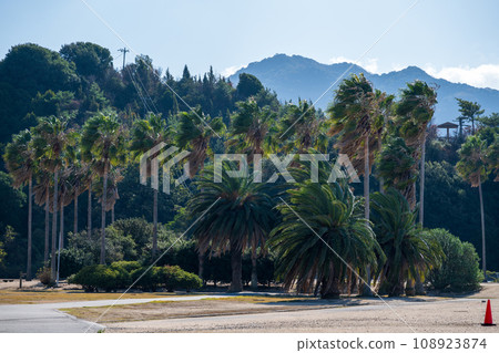 Very beautiful autumn scenery of Okunoshima in Hiroshima Prefecture, Japan 108923874
