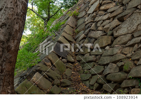 Busan Busan Castle Park scenery Busan Metropolitan City, Republic of Korea 108923914