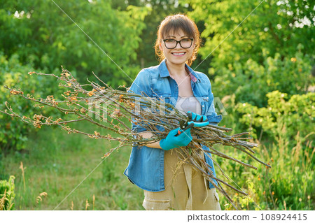Woman with dry branches of blackcurrant bushes, pruning shears in garden 108924415