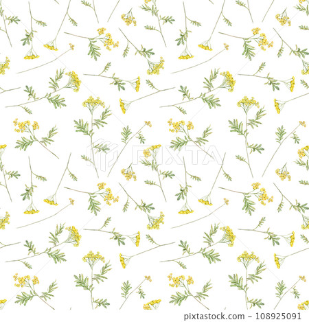 Seamless pattern watercolor common tansy. Yellow field flowers. Hand drawn illustration isolated background. Wallpaper with botanical medicinal wildflowers 108925091