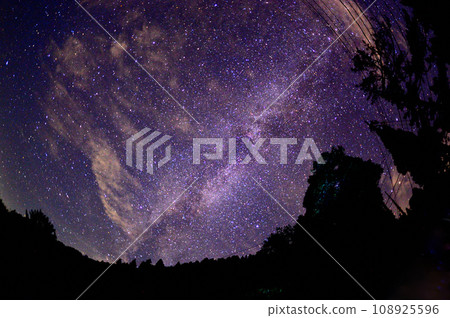 Milky Way in the forest 108925596