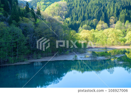Spectacular Spring View: Evening View of Submerged Forest at Lake Akifan, Akita Prefecture Spectacular Spring View: Evening View of Submerged Forest at Lake Akifan, Akita Prefecture 108927006