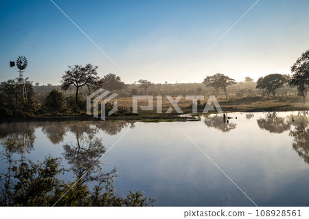 Savannah pond in the morning fog in Kruger National Park, South Africa Savannah pond in the morning fog in Kruger National Park, South Africa 108928561