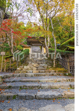 Jakko-in Temple in autumn - Sanmon gate and stone staircase approach wrapped in autumn leaves (Ohara, Sakyo Ward, Kyoto City, Kyoto Prefecture) Jakko-in Temple in autumn - Sanmon gate and stone staircase approach wrapped in autumn leaves (Ohara, Sakyo Ward, Kyoto City, Kyoto Prefecture) 108928589