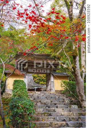 秋天的寂光院 - 被秋葉包裹的山門和石階參道(京都府京都市左京區大原) 秋天的寂光院 - 被秋葉包裹的山門和石階參道(京都府京都市左京區大原) 108928592