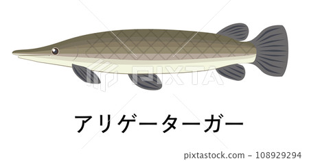 Illustration of alligator ger 108929294