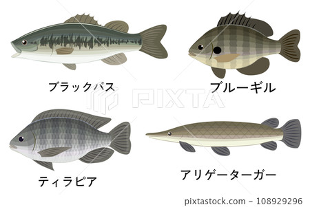 Summary illustration of exotic fish 108929296