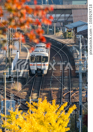 [Takayama Main Line] Local train arriving at Hida-Hagiwara Station 108929718