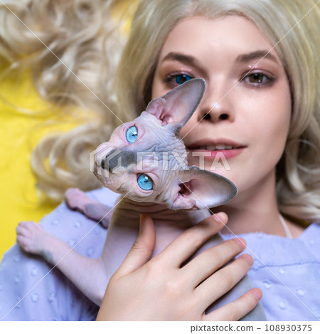 Portrait of cosplay elf young woman lying down on yellow background with Sphinx kitten Portrait of cosplay elf young woman lying down on yellow background with Sphinx kitten 108930375