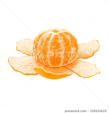 Realistic peeled tangerine illustration 108930820