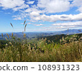 Ainan Town, Minamiuwa District, Ehime Prefecture_View of blue sky, pampas grass and mountains 5 Ainan Town, Minamiuwa District, Ehime Prefecture_View of blue sky, pampas grass and mountains 5 108931323