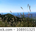 Ainan Town, Minamiuwa District, Ehime Prefecture_View of blue sky, pampas grass and mountains 4 Ainan Town, Minamiuwa District, Ehime Prefecture_View of blue sky, pampas grass and mountains 4 108931325