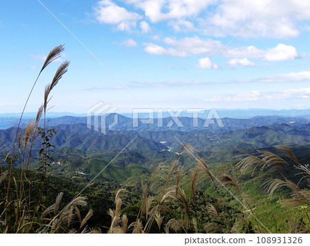 Ainan Town, Minamiuwa District, Ehime Prefecture_View of blue sky, pampas grass and mountains 3 Ainan Town, Minamiuwa District, Ehime Prefecture_View of blue sky, pampas grass and mountains 3 108931326
