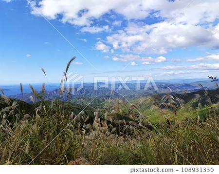 Ainan Town, Minamiuwa District, Ehime Prefecture_View of the blue sky, pampas grass, and mountains 1 Ainan Town, Minamiuwa District, Ehime Prefecture_View of the blue sky, pampas grass, and mountains 1 108931330