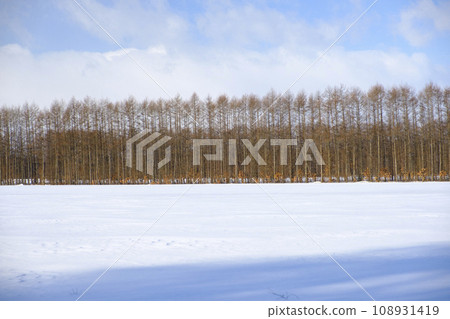 冬季十勝平原的雪景 冬季十勝平原的雪景 108931419