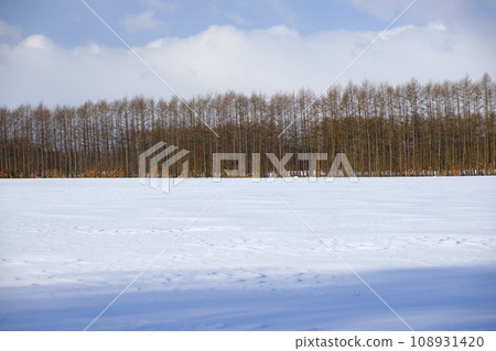 冬季十勝平原的雪景 108931420