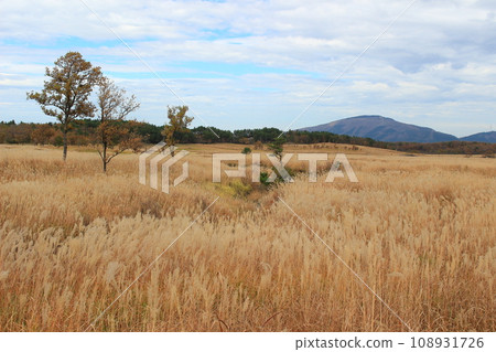 Tadewara Wetland ~ Aso Kuju National Park 108931726