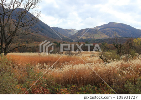 Tadewara Wetland ~ Aso Kuju National Park 108931727