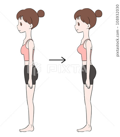 Bust up and hip up female illustration Bust up and hip up female illustration 108932030