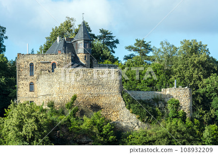 Castle in the forest. 108932209