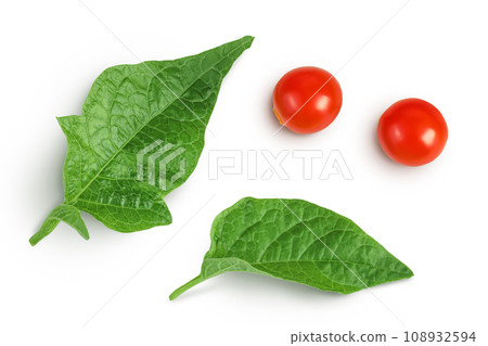 Cape gooseberry, physalis isolated on white background with full depth of field. Top view. Flat lay 108932594