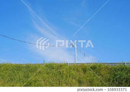 Refreshing grassland and utility poles 108933371