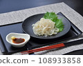 squid  108933858