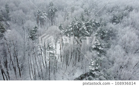 Trees in a snow-covered forest on a winter cloudy day. Aerial view. 108936814