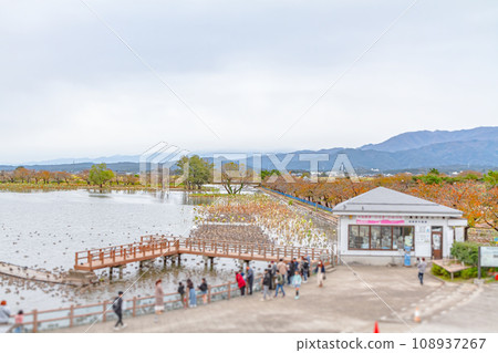 琵琶湖水上公園 108937267