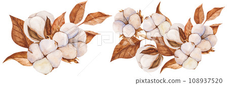 Cotton buds and dry leaves. Watercolor illustration. Isolated cliparts. Realistic botanical composition. Wedding invitation, Holiday Winter Set, New Year clipart, decorations, Greeting card 108937520