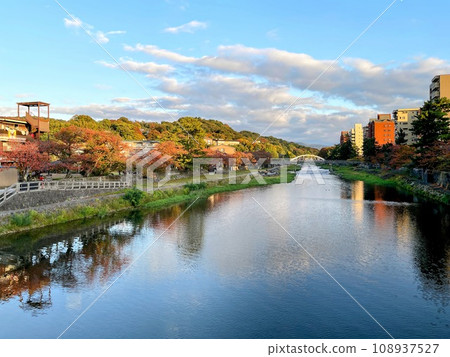A river colored with autumn leaves 108937527